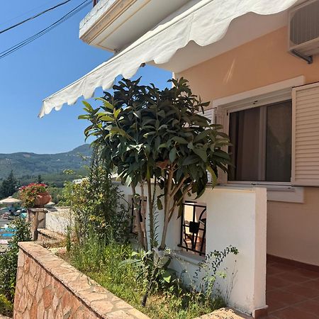 Diogenis Parga Studios Luaran gambar