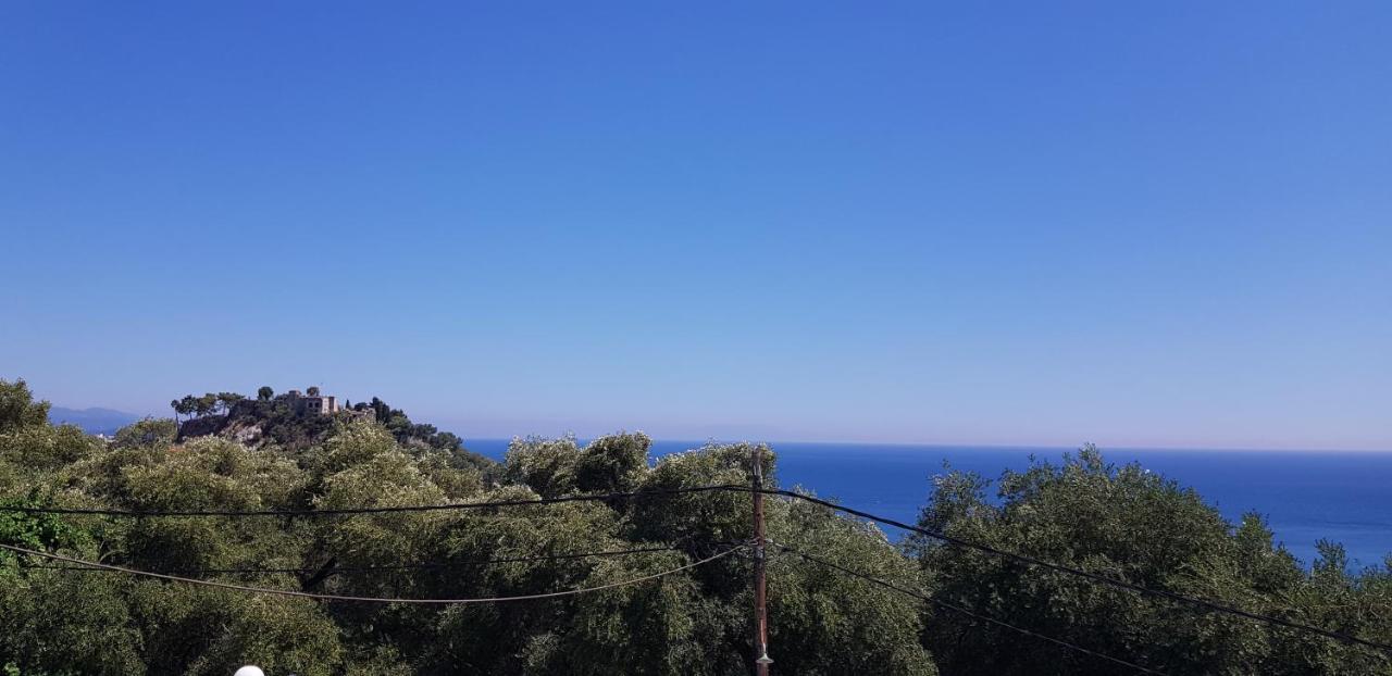 Diogenis Parga Studios Luaran gambar