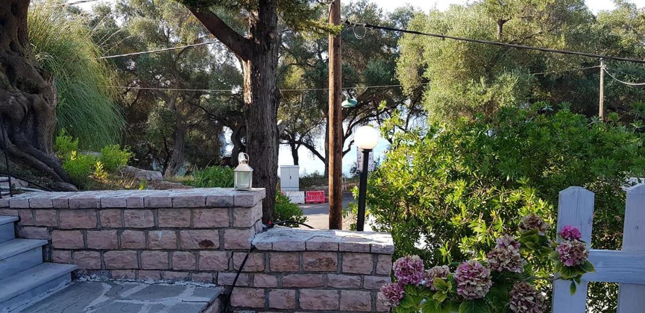 Diogenis Parga Studios Luaran gambar