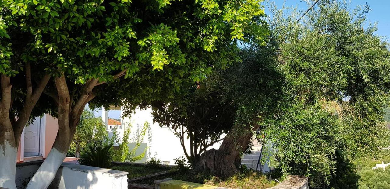 Diogenis Parga Studios Luaran gambar