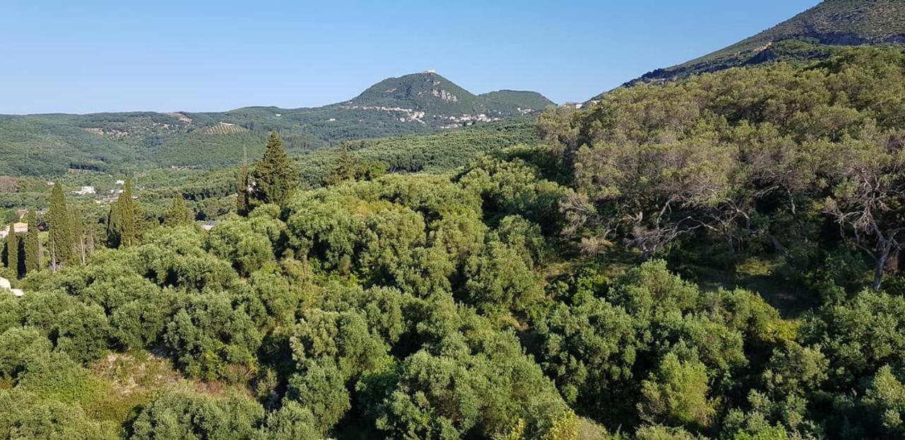 Diogenis Parga Studios Luaran gambar