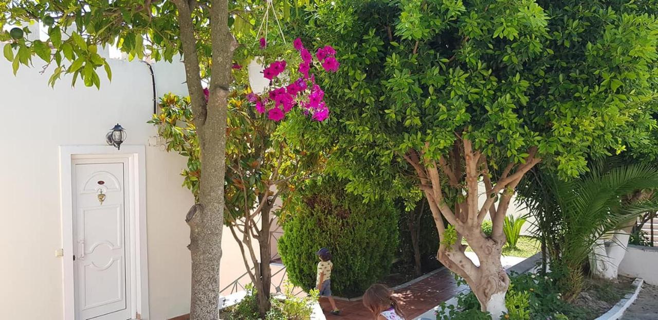 Diogenis Parga Studios Luaran gambar