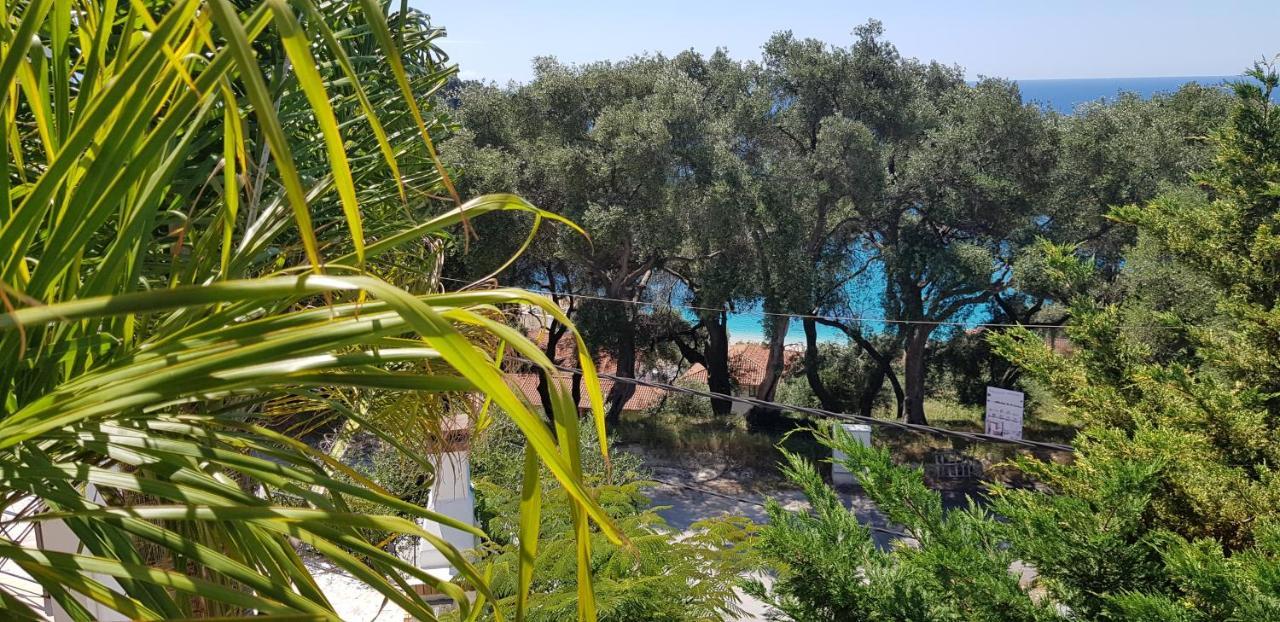 Diogenis Parga Studios Luaran gambar