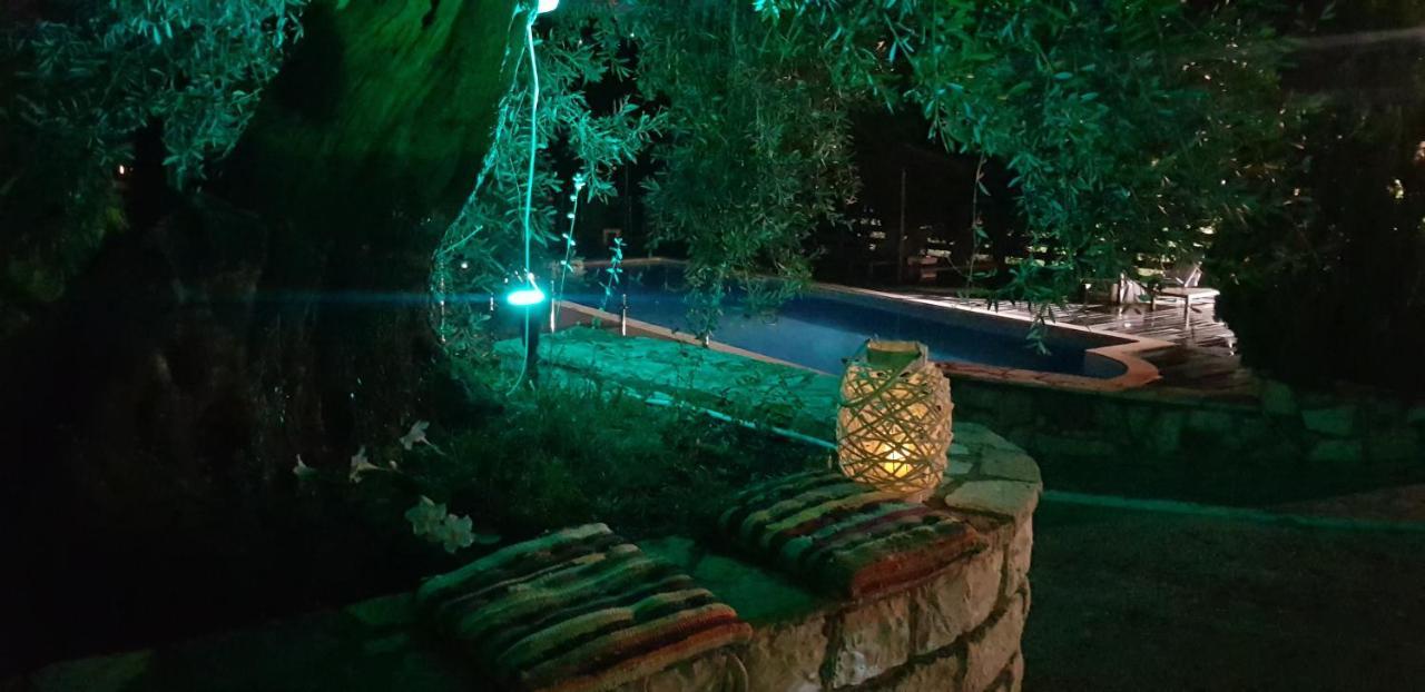 Diogenis Parga Studios Luaran gambar