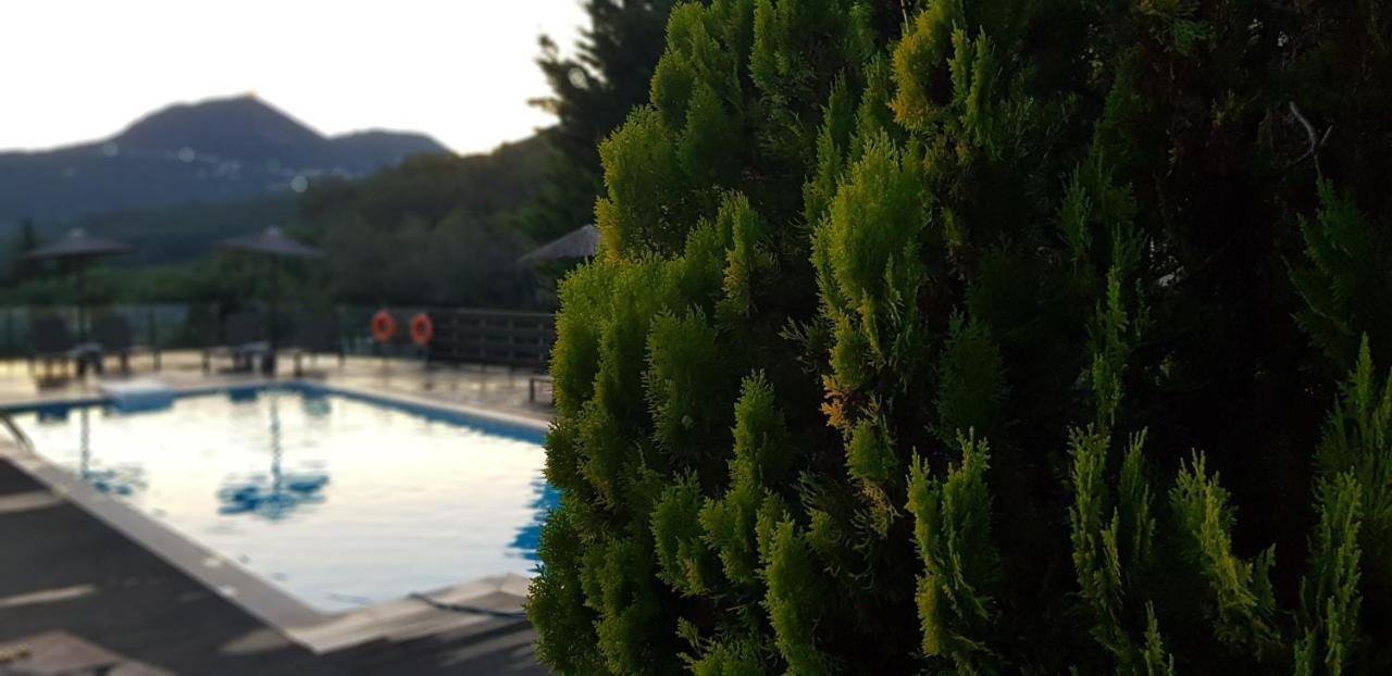 Diogenis Parga Studios Luaran gambar