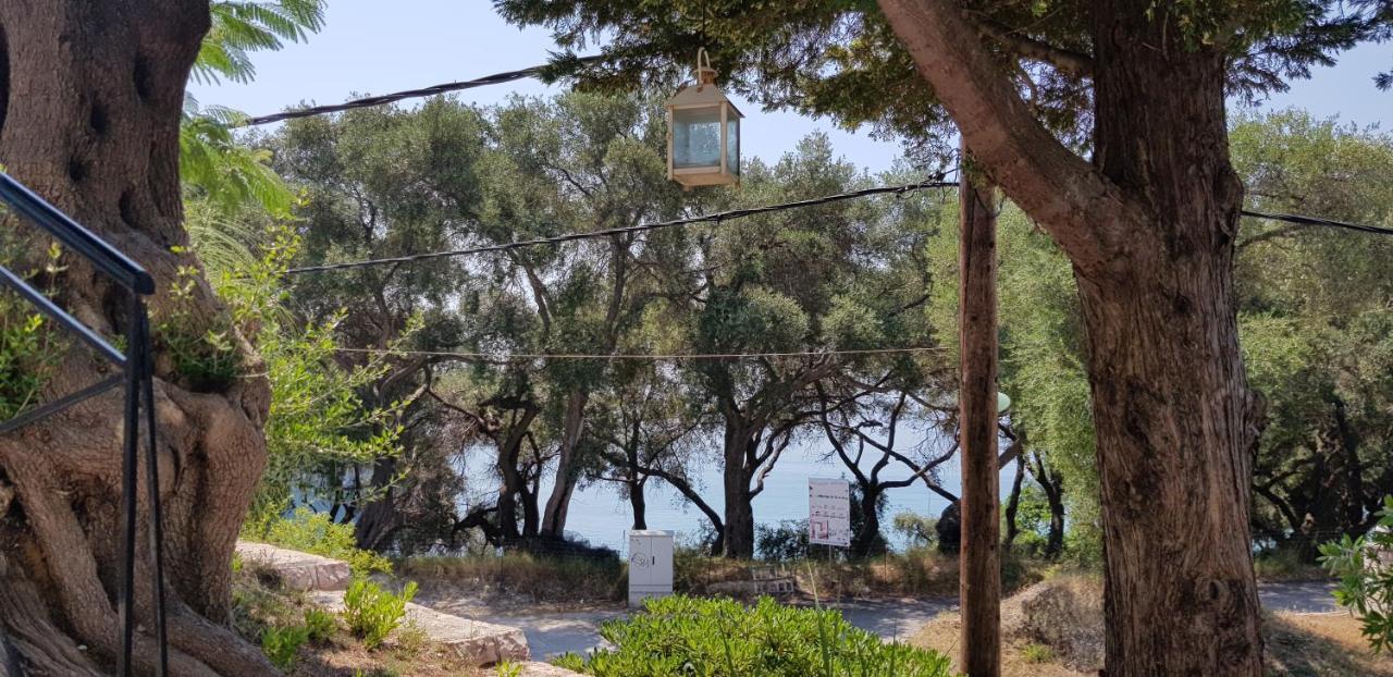 Diogenis Parga Studios Luaran gambar